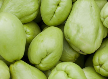 Chayote de Costa Rica