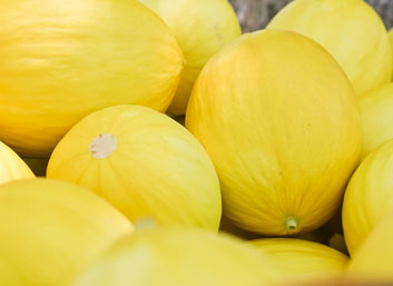 Melón de Costa Rica