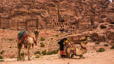 The ancient city of Petra in Jordan is just one of the historic sites guests can explore in new itineraries offered by Pleasant Holidays and its sister luxury brand, Journese.