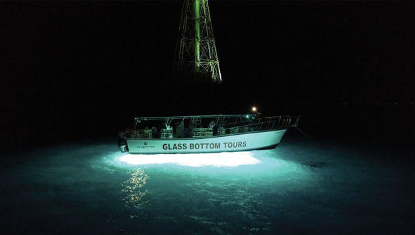 The glass-bottom boat Transparensea on a night tour of the coral and marine life at the Alligator Reef lighthouse off Islamorada.